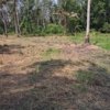 Plots for sale in Arpookara