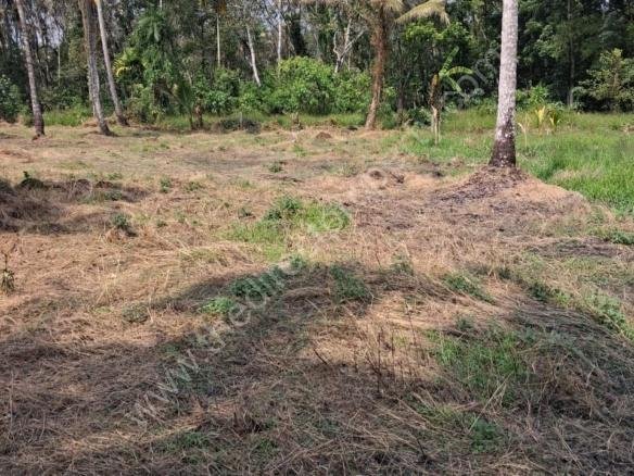 Plots for sale in Arpookara