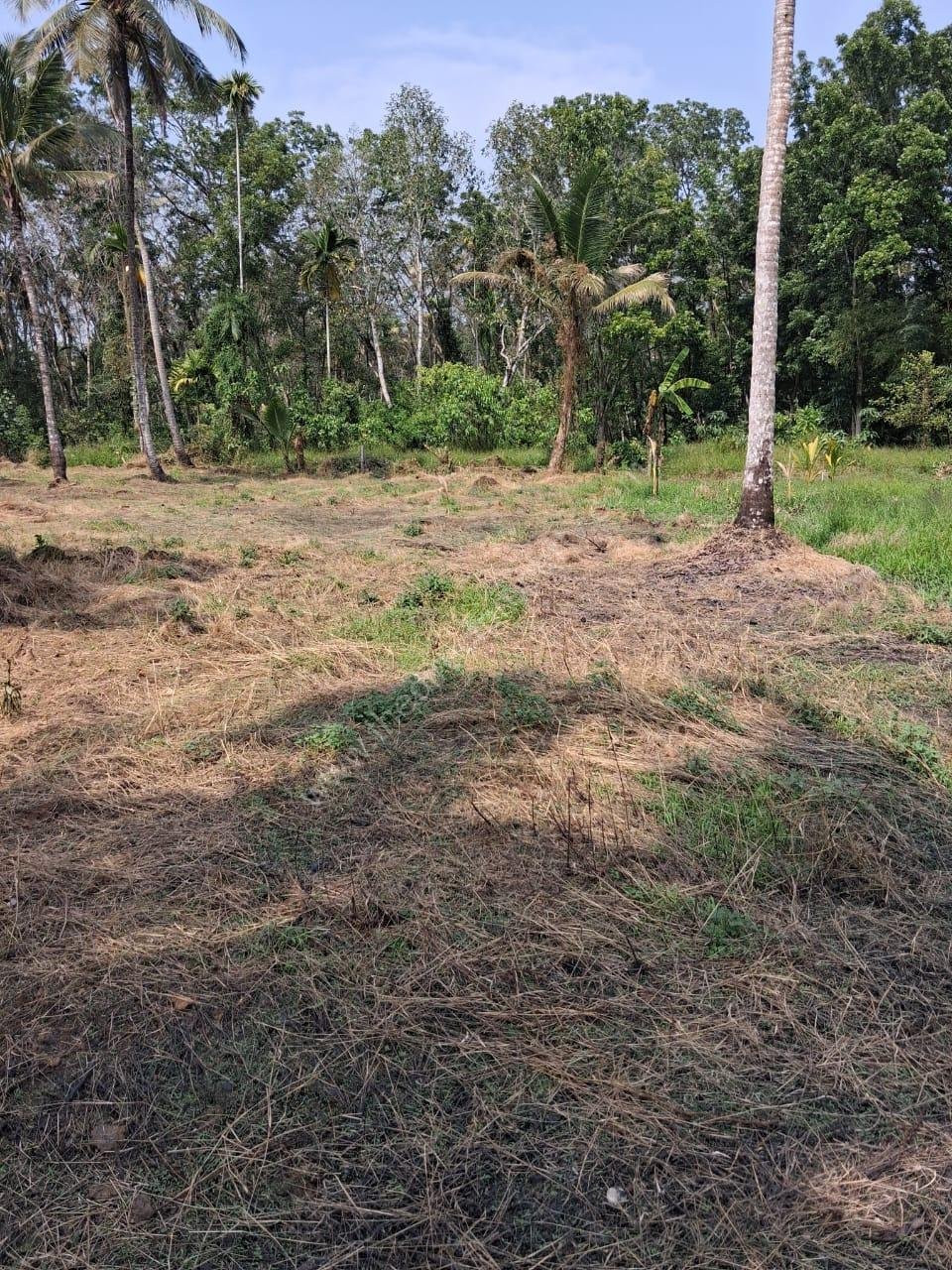 Plots for sale in Arpookara