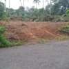 Plot for sale in Vakathanam Kottayam