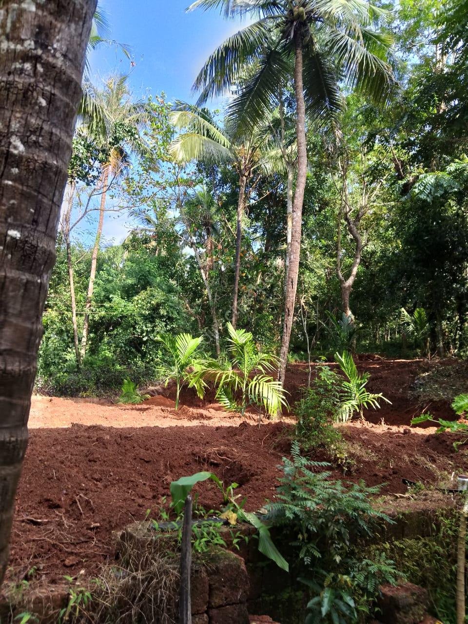 CHAKKARAKAL2 Plot for sale in Mundematta Chakkarakal