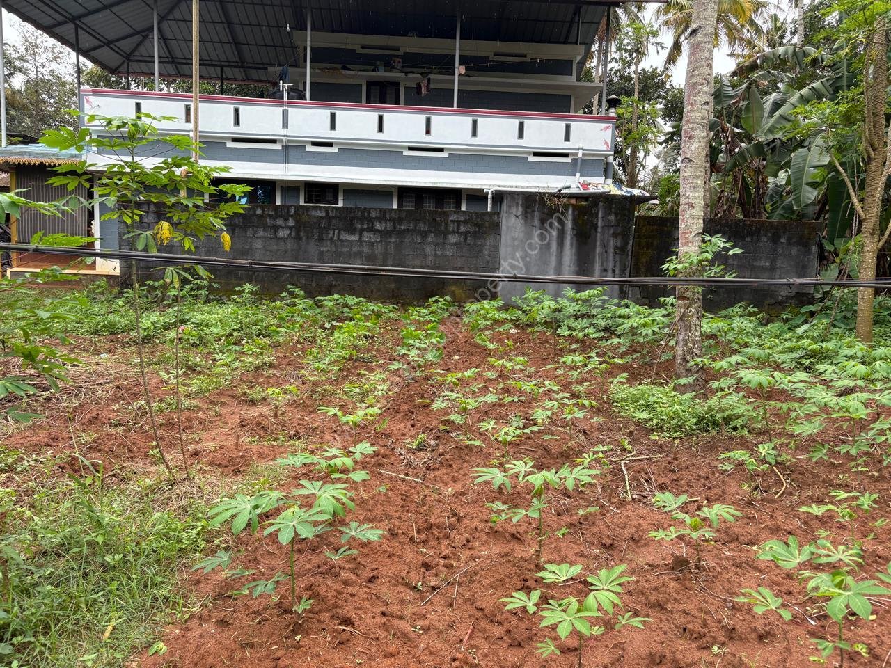 CTR Property-Madankavu-Jan-26- at 19.50.35