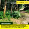 Land for sale in Kozhencherry Pathanamthitta