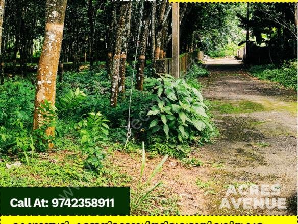 Land for sale in Kozhencherry Pathanamthitta