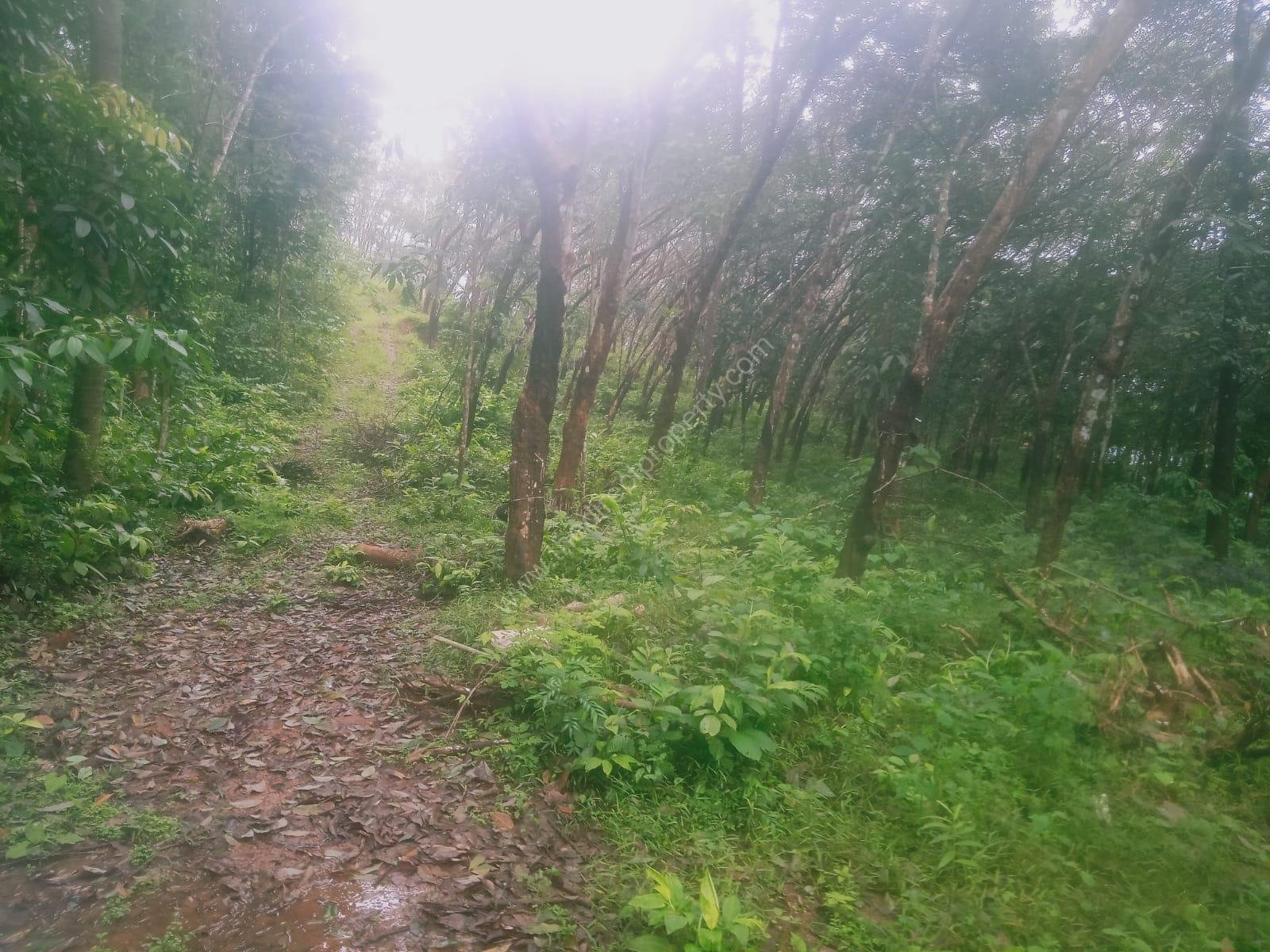 IMG-20250726-WA0035