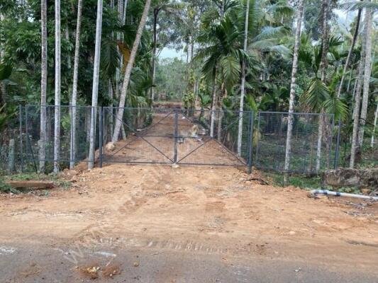 land for sale in Vennikulam