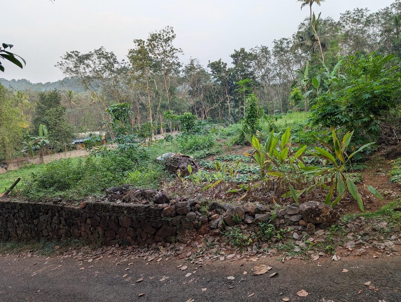 Koothatukulam Plot image 3