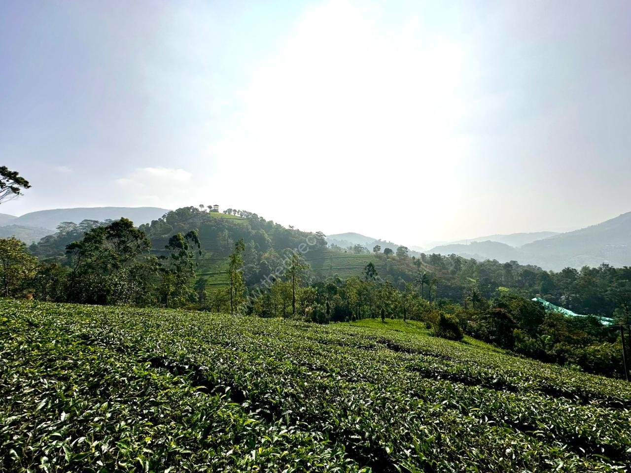 PHOTO-2026-01-12-09-55-06 2