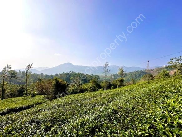 Estate for sale in Vagamon