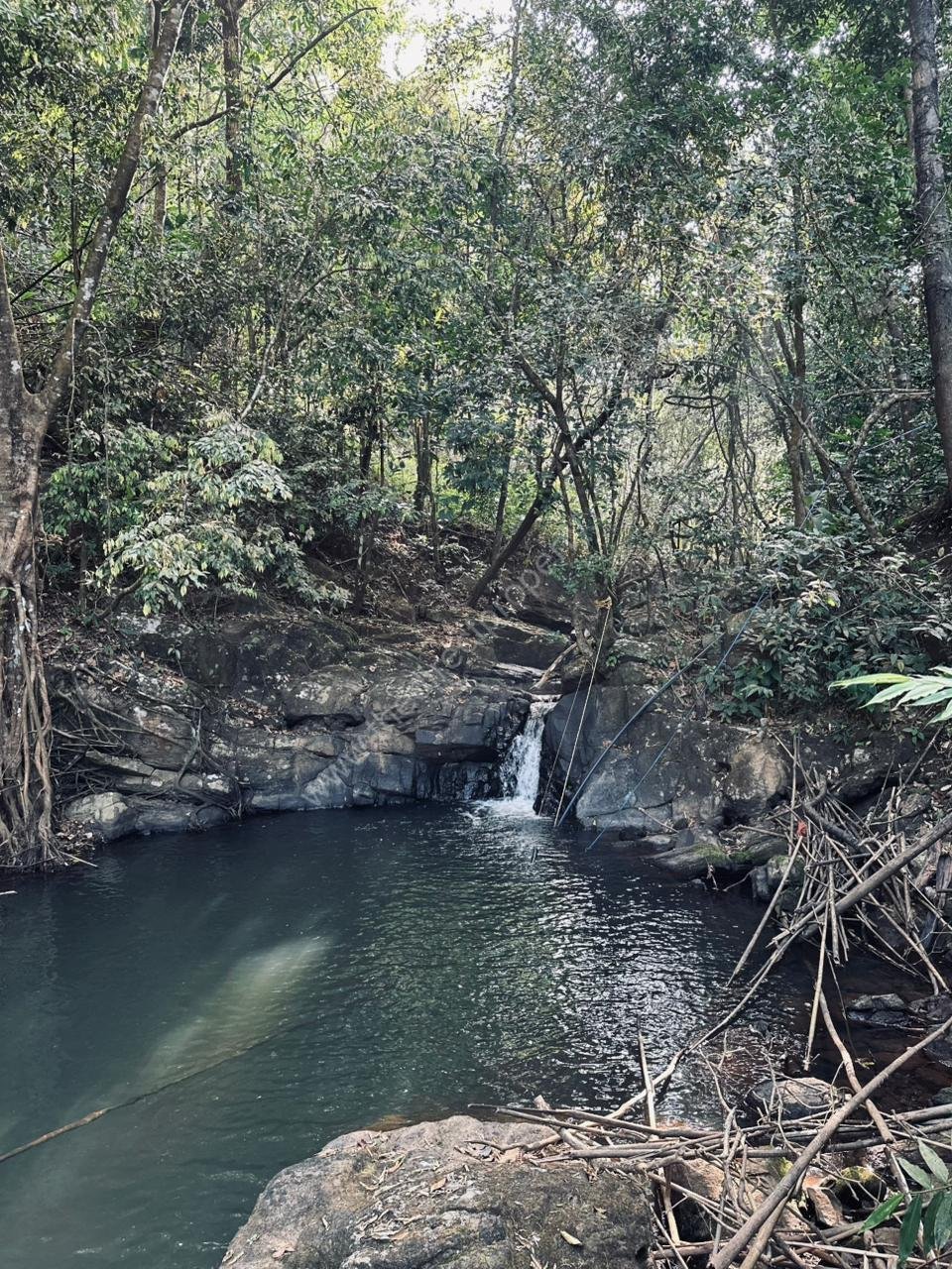 PHOTO-2026-01-12-09-55-06 4