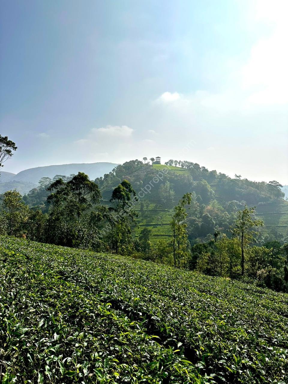 PHOTO-2026-01-12-09-55-06 5