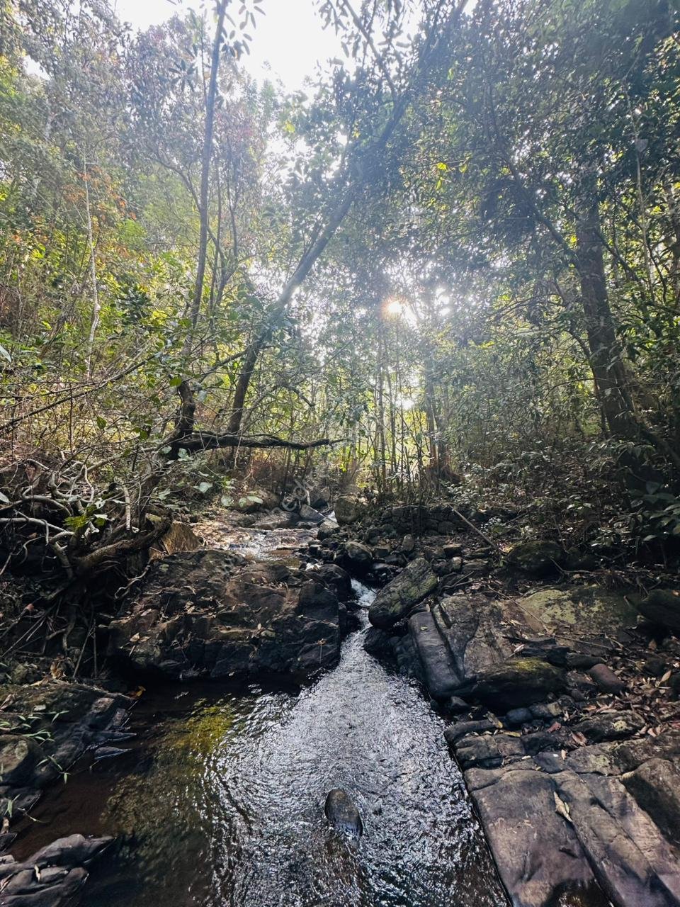 Estate for sale in Vagamon