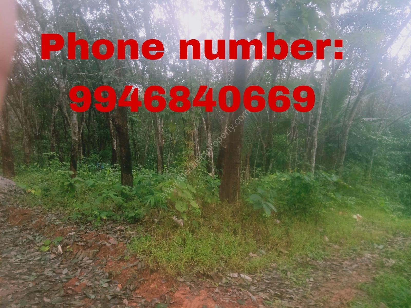 Picsart_26-01-11_17-02-22-944