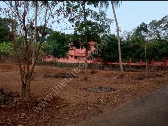 Plot in Kallooppara for Sale