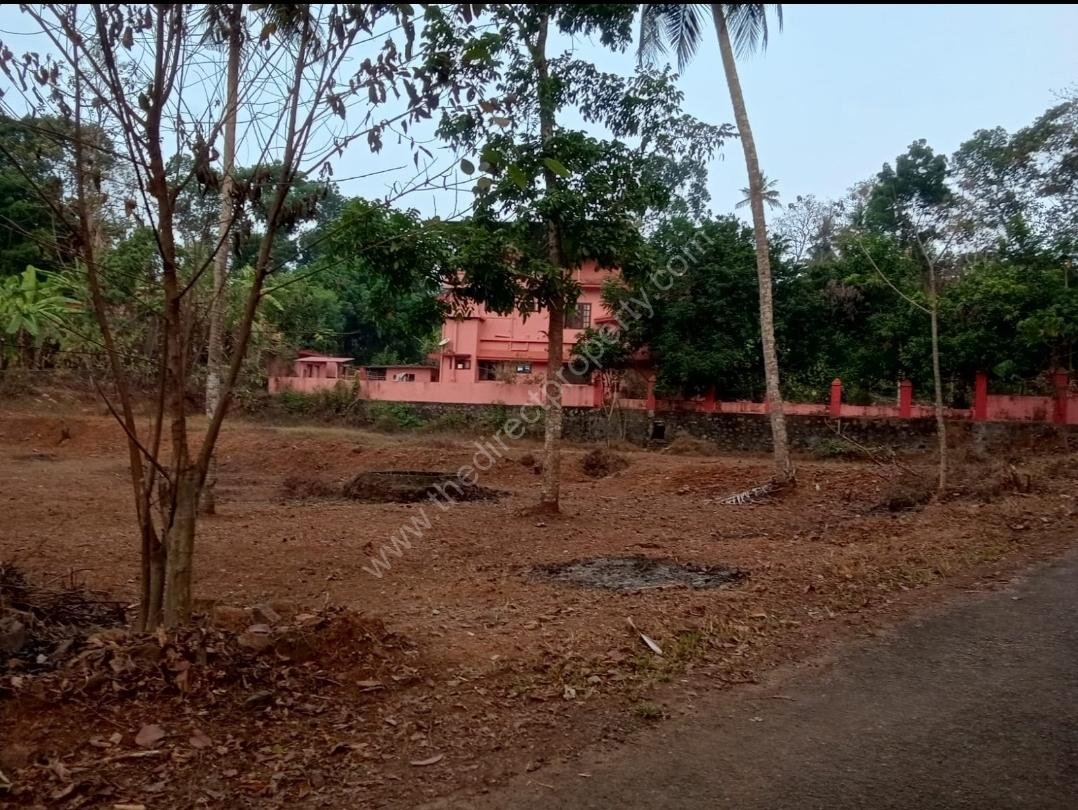 Screenshot_20260113-120724_WhatsApp Plot in Kallooppara for Sale