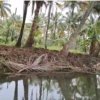 Agricultural Island land for sale in Vattapotta Murinjapuzha Chempu