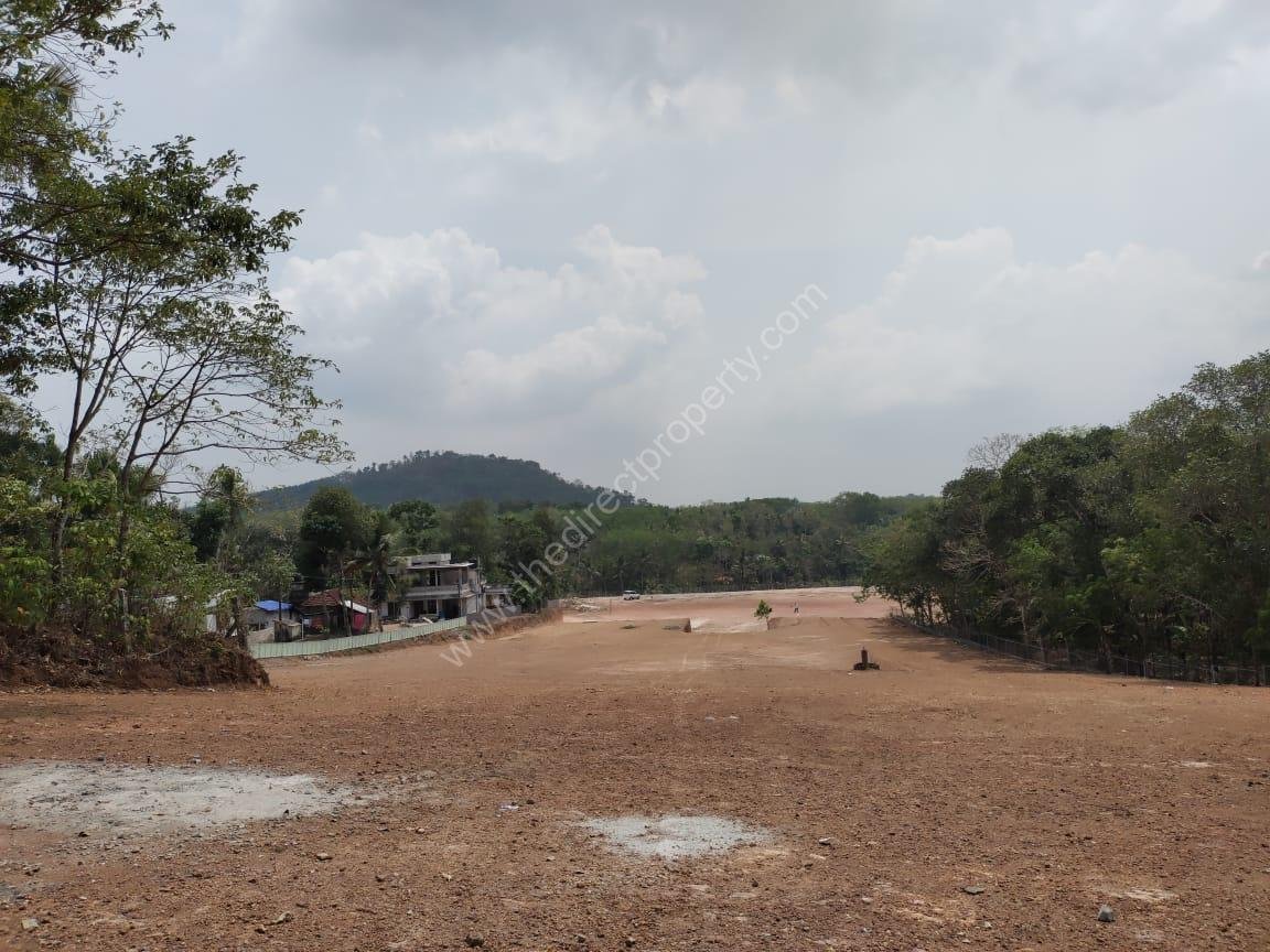 WhatsApp Image 2025-10-15 at 6.50.21 PM