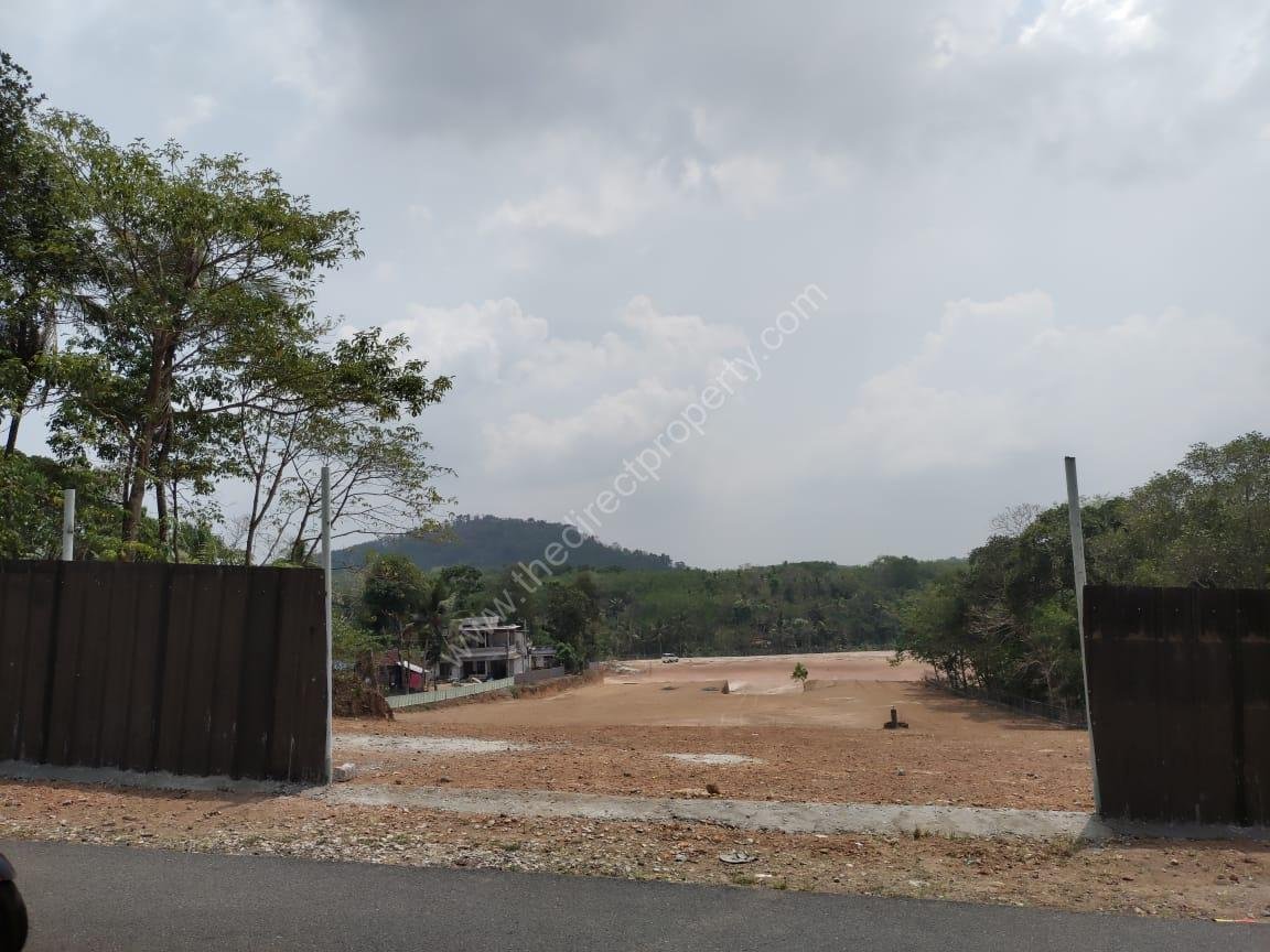 WhatsApp Image 2025-10-15 at 6.50.23 PM