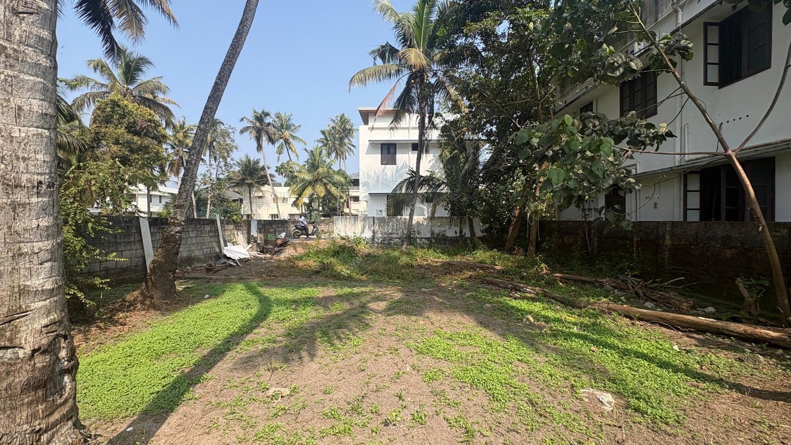 WhatsApp Image 2025-12-25 at 14.07.46