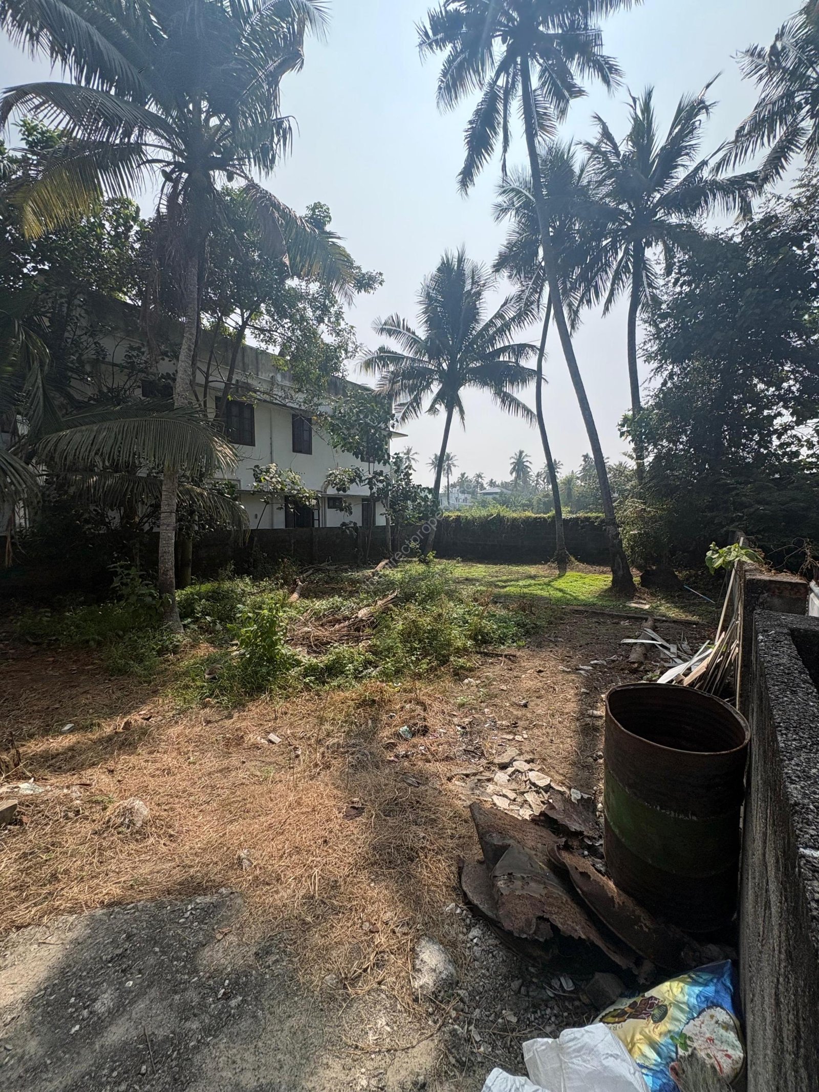 WhatsApp Image 2025-12-25 at 14.08.05