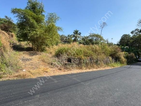 Roadside plot in Thodupuzha Munnar highway