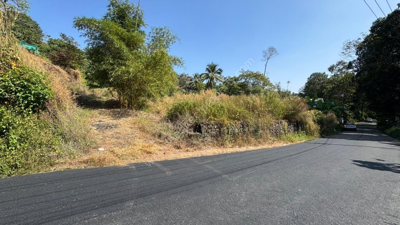 WhatsApp Image 2026-01-01 at 1.26.47 PM Roadside plot in Thodupuzha Munnar highway
