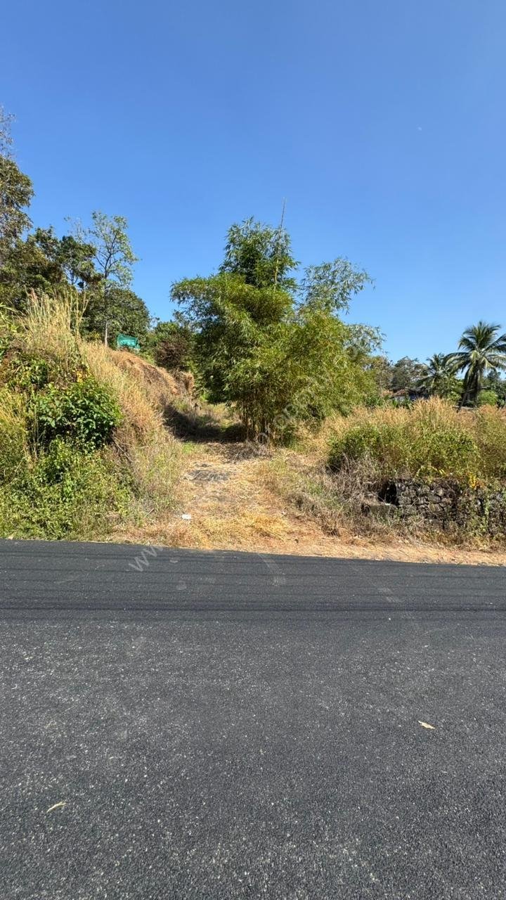 WhatsApp Image 2026-01-01 at 1.26.54 PM