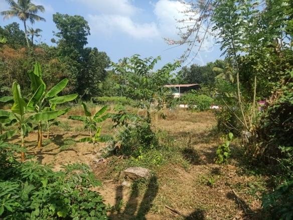 Land for sale in angamaly
