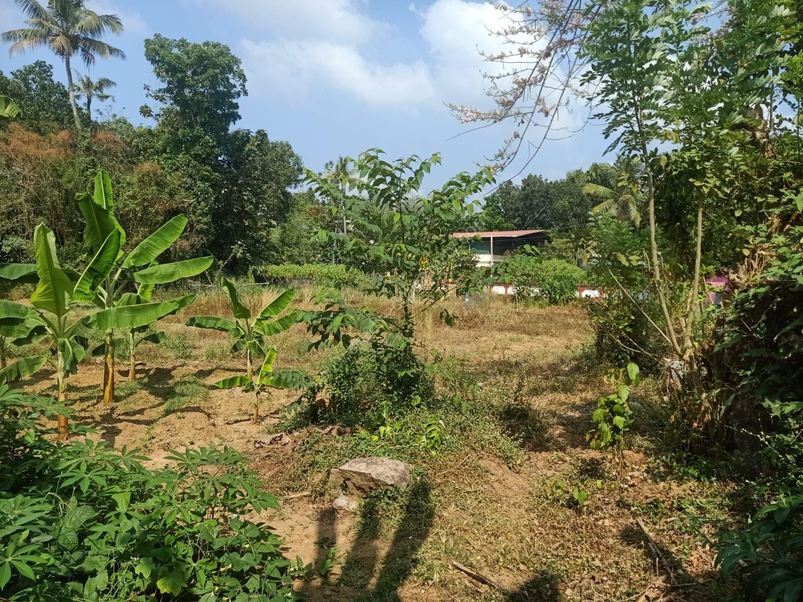 Land for sale in angamaly