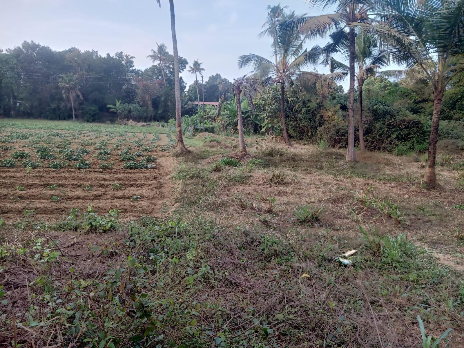 WhatsApp Image 2026-01-15 at 12.16.14 PM (1)