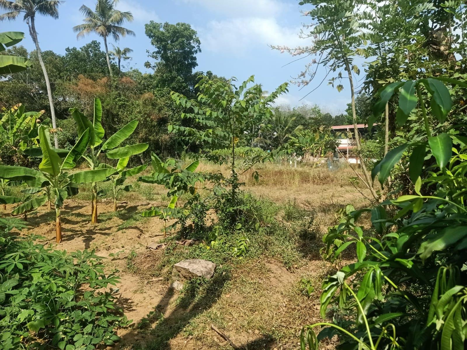 WhatsApp Image 2026-01-15 at 12.16.14 PM