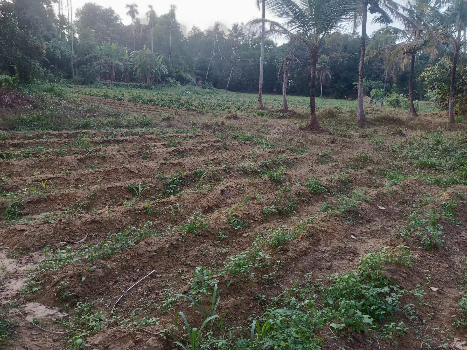 WhatsApp Image 2026-01-15 at 12.16.15 PM (1)