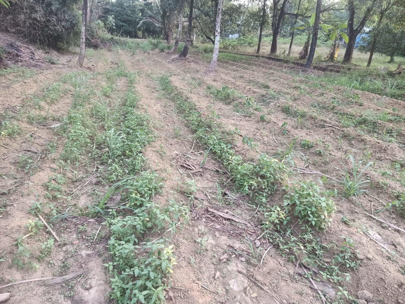 WhatsApp Image 2026-01-15 at 12.16.15 PM (2)