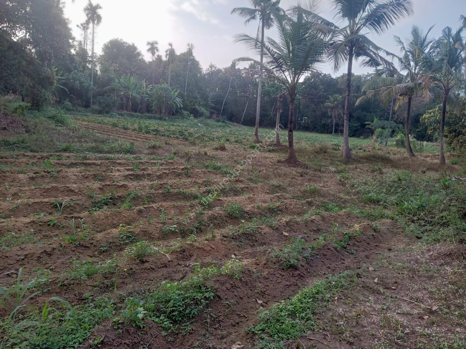 WhatsApp Image 2026-01-15 at 12.16.15 PM