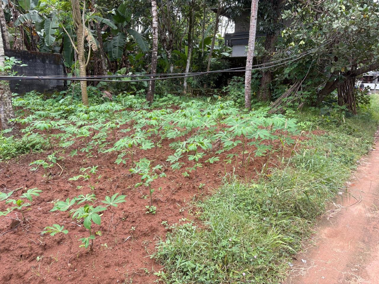 WhatsApp Image 2026-01-16 at 10.36.24