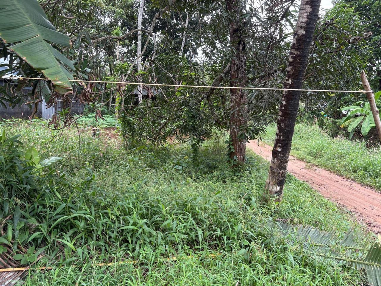 WhatsApp Image 2026-01-16 at 10.40.11