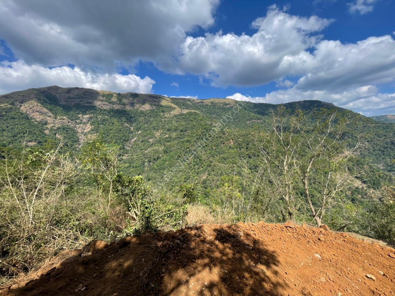 WhatsApp Image 2026-01-18 at 11.54.46 AM