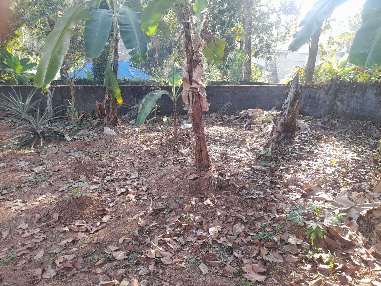 WhatsApp Image 2026-01-26 at 07.42.05