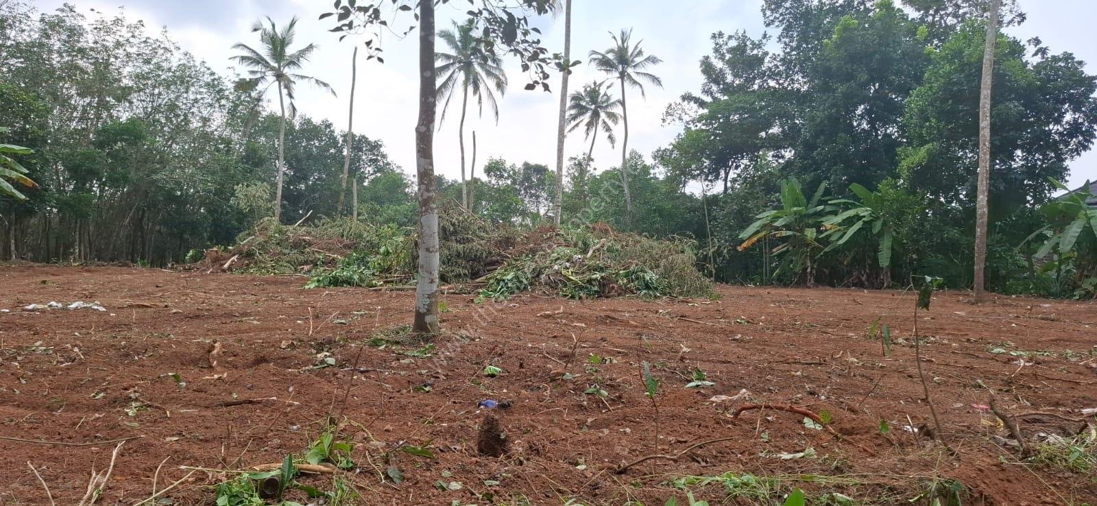 bebb2db9-c30f-4f4c-9711-76850501559f