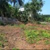 Land for sale in Olavakkode