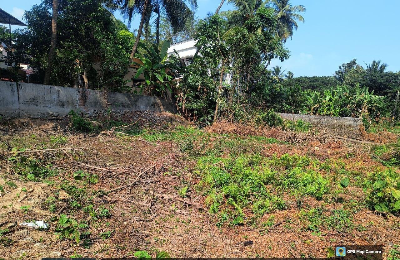1 Land for sale in Olavakkode
