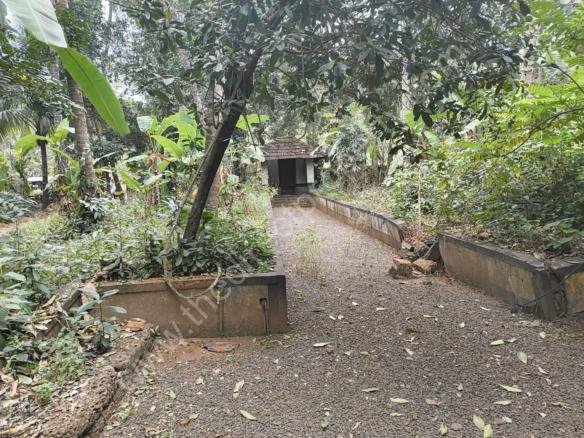 Land for sale in Cherukara