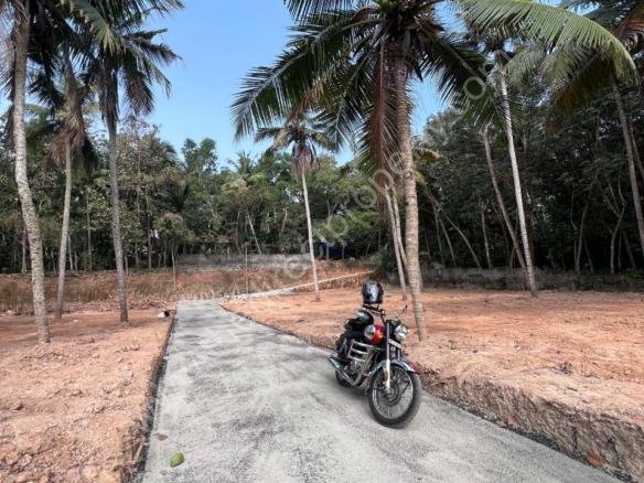 plot for sale in Neyyatinkara