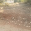 Land for sale in Sivagiri