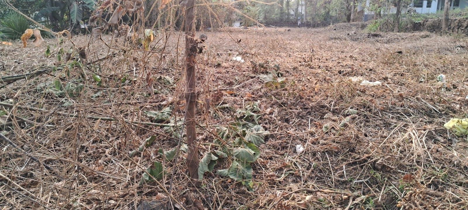 2f4ae942-e2c0-4a90-b621-acdc8c94510e