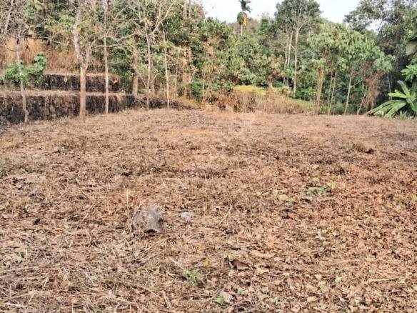 Munduvelipadi, Onnamthuruthu