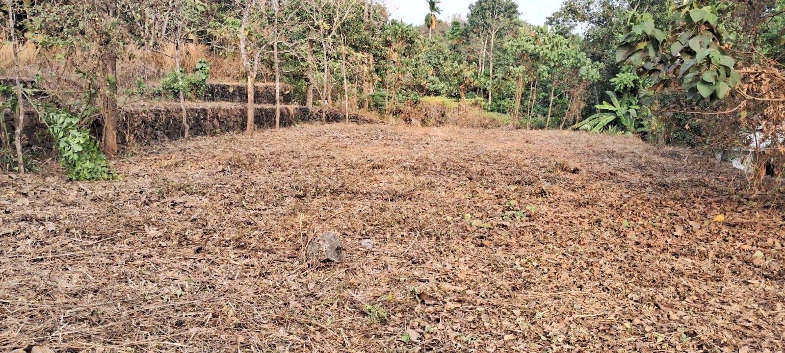 Munduvelipadi, Onnamthuruthu