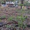 Land for sale in Kadukassery