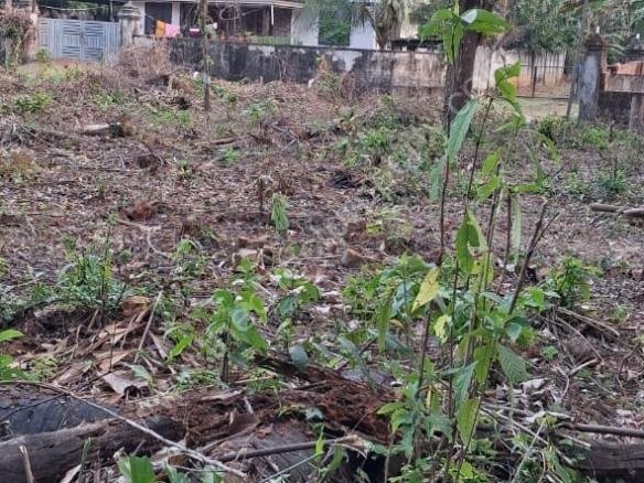 Land for sale in Kadukassery