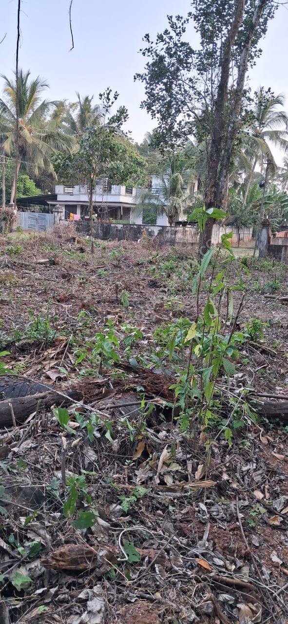 Land for sale in Kadukassery